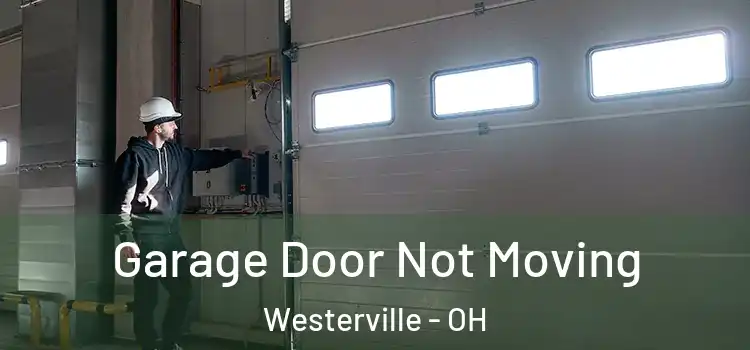  Garage Door Not Moving Westerville - OH