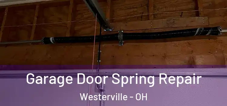  Garage Door Spring Repair Westerville - OH