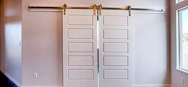 Glass Barn Door with Installation Hardware Kit Westerville
