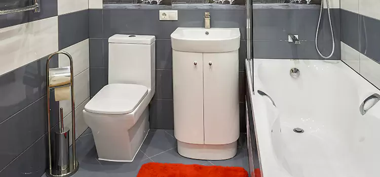 Hansgrohe Shaving Mirror Westerville