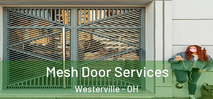 Mesh Door Services Westerville - OH