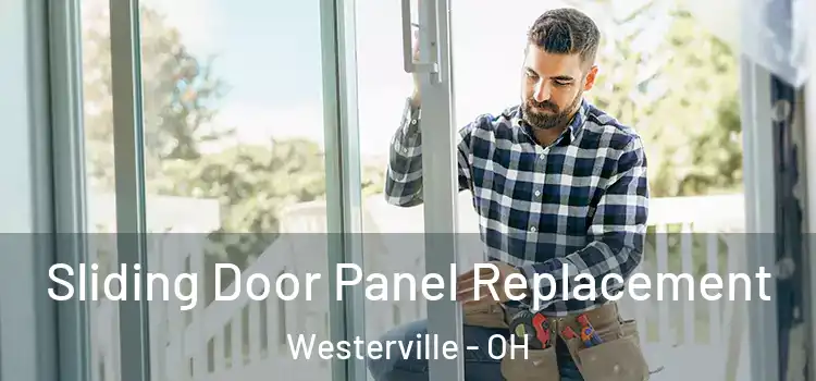  Sliding Door Panel Replacement Westerville - OH