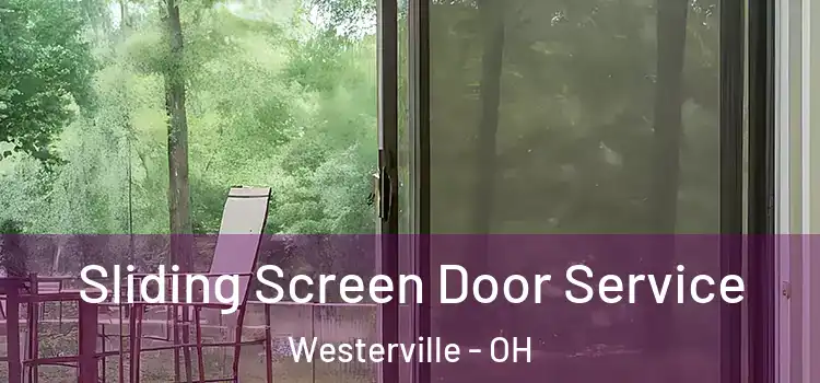 Sliding Screen Door Service Westerville - OH