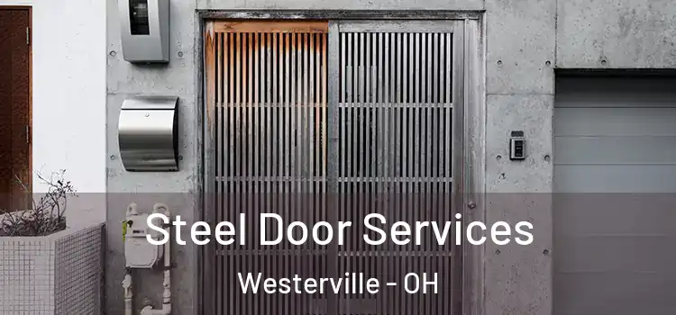 Steel Door Services Westerville - OH